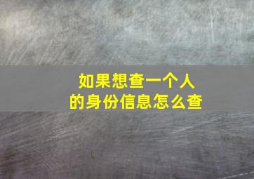 如果想查一个人的身份信息怎么查