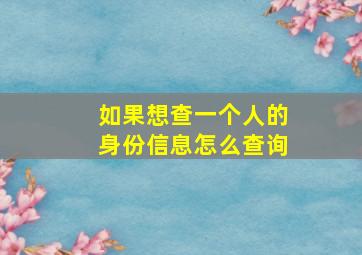 如果想查一个人的身份信息怎么查询