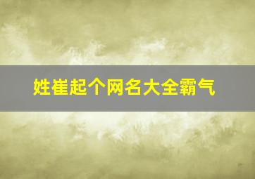 姓崔起个网名大全霸气