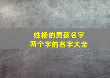 姓杨的男孩名字两个字的名字大全