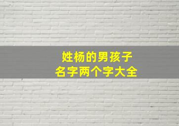 姓杨的男孩子名字两个字大全