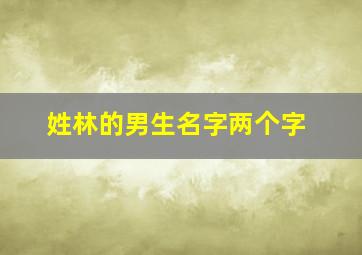 姓林的男生名字两个字