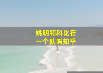 姚明和科比在一个队吗知乎