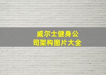 威尔士健身公司架构图片大全