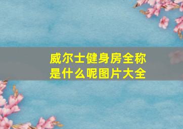 威尔士健身房全称是什么呢图片大全