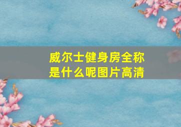 威尔士健身房全称是什么呢图片高清