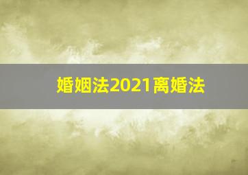 婚姻法2021离婚法