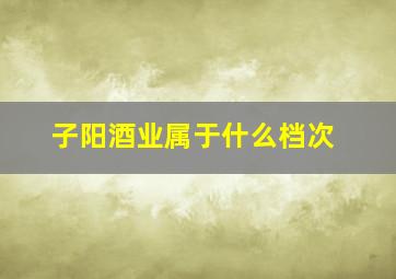 子阳酒业属于什么档次