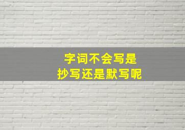 字词不会写是抄写还是默写呢