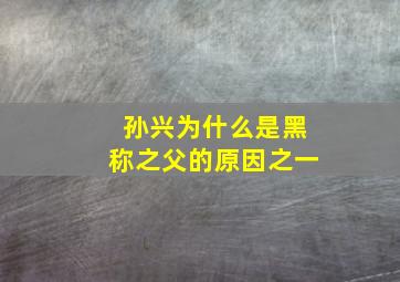 孙兴为什么是黑称之父的原因之一