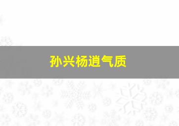 孙兴杨逍气质