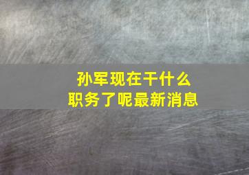 孙军现在干什么职务了呢最新消息