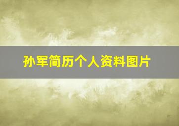 孙军简历个人资料图片