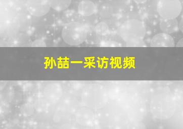 孙喆一采访视频