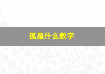 孤是什么数字