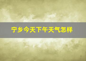 宁乡今天下午天气怎样