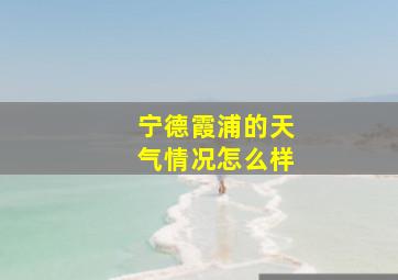 宁德霞浦的天气情况怎么样