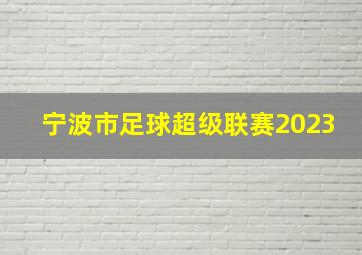 宁波市足球超级联赛2023