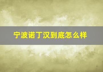 宁波诺丁汉到底怎么样