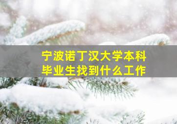 宁波诺丁汉大学本科毕业生找到什么工作