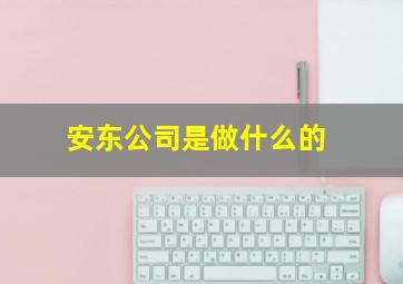 安东公司是做什么的