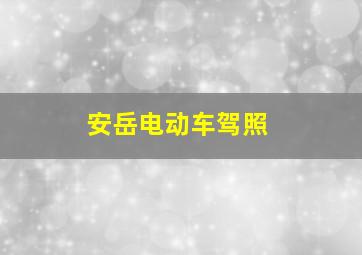 安岳电动车驾照