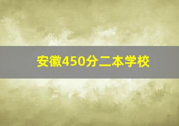 安徽450分二本学校