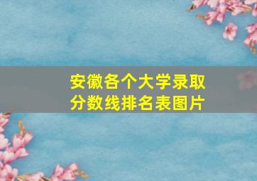 安徽各个大学录取分数线排名表图片