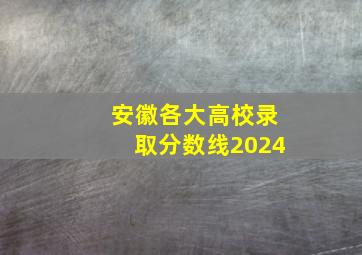 安徽各大高校录取分数线2024