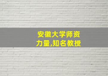 安徽大学师资力量,知名教授