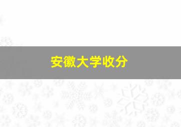 安徽大学收分