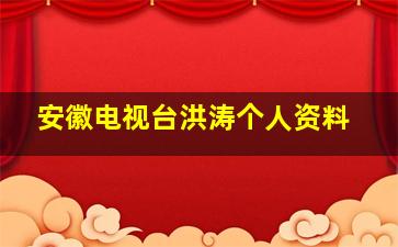 安徽电视台洪涛个人资料