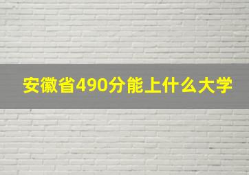 安徽省490分能上什么大学