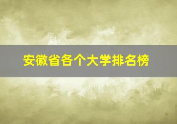 安徽省各个大学排名榜