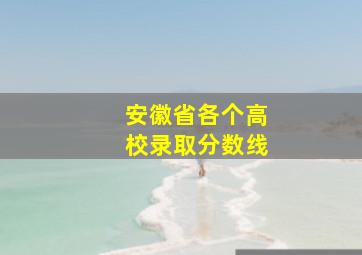 安徽省各个高校录取分数线