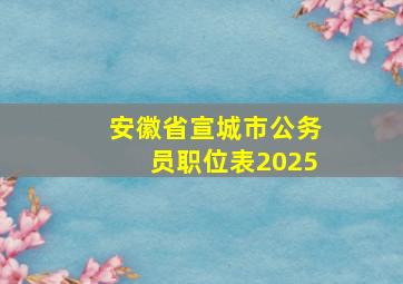 安徽省宣城市公务员职位表2025