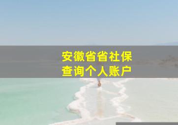 安徽省省社保查询个人账户