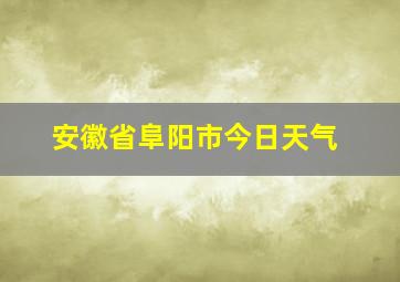 安徽省阜阳市今日天气