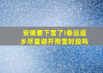 安徽要下雪了!春运返乡尽量避开雨雪时段吗