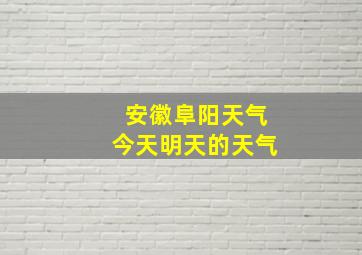 安徽阜阳天气今天明天的天气