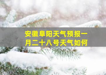 安徽阜阳天气预报一月二十八号天气如何