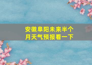 安徽阜阳未来半个月天气预报看一下