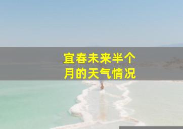 宜春未来半个月的天气情况