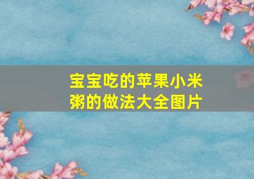 宝宝吃的苹果小米粥的做法大全图片