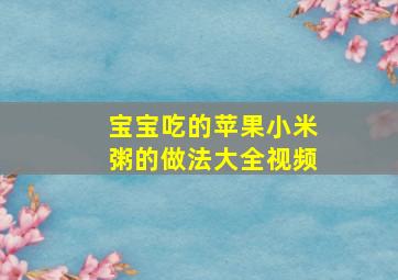 宝宝吃的苹果小米粥的做法大全视频