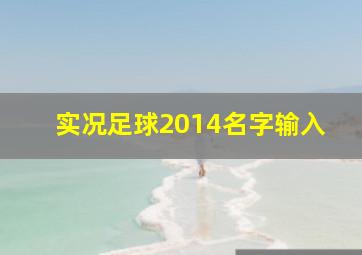 实况足球2014名字输入