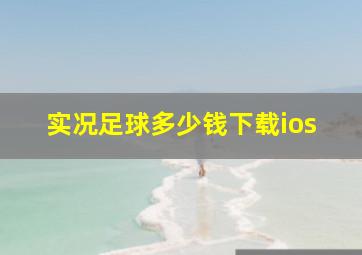 实况足球多少钱下载ios