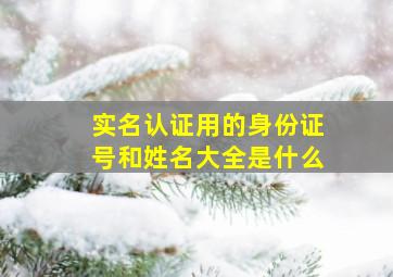 实名认证用的身份证号和姓名大全是什么