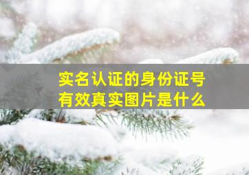 实名认证的身份证号有效真实图片是什么