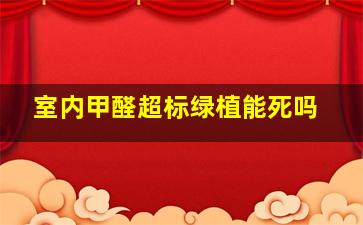 室内甲醛超标绿植能死吗